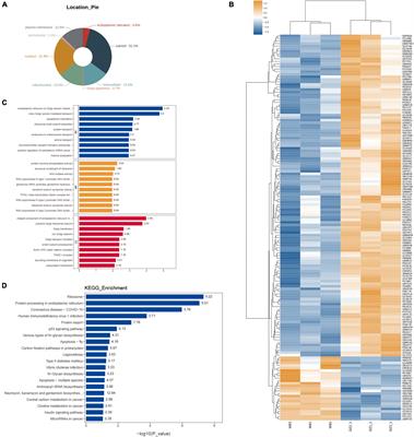 Based on Network Pharmacology and Molecular Dynamics Simulations, Baicalein, an Active Ingredient of Yiqi Qingre Ziyin Method, Potentially Protects Patients With Atrophic Rhinitis From Cognitive Impairment